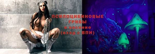 крисы Абаза