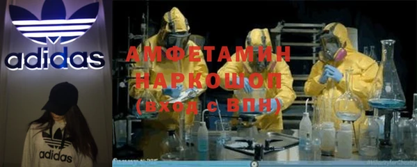крисы Абаза