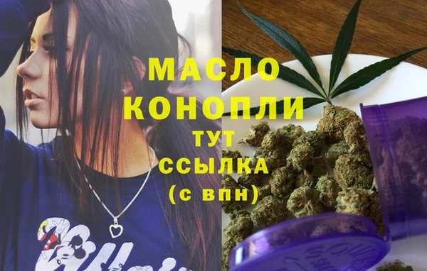 крисы Абаза