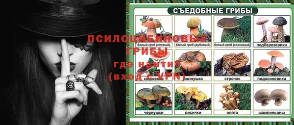 крисы Абаза
