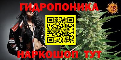 а пвп мука Кизилюрт